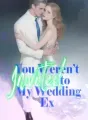 You Weren’t Invited to My Wedding, Ex! cover