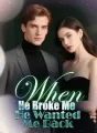 When He Broke Me, He Wanted Me Back cover