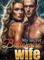 My Secret Billionaire Ex-wife cover