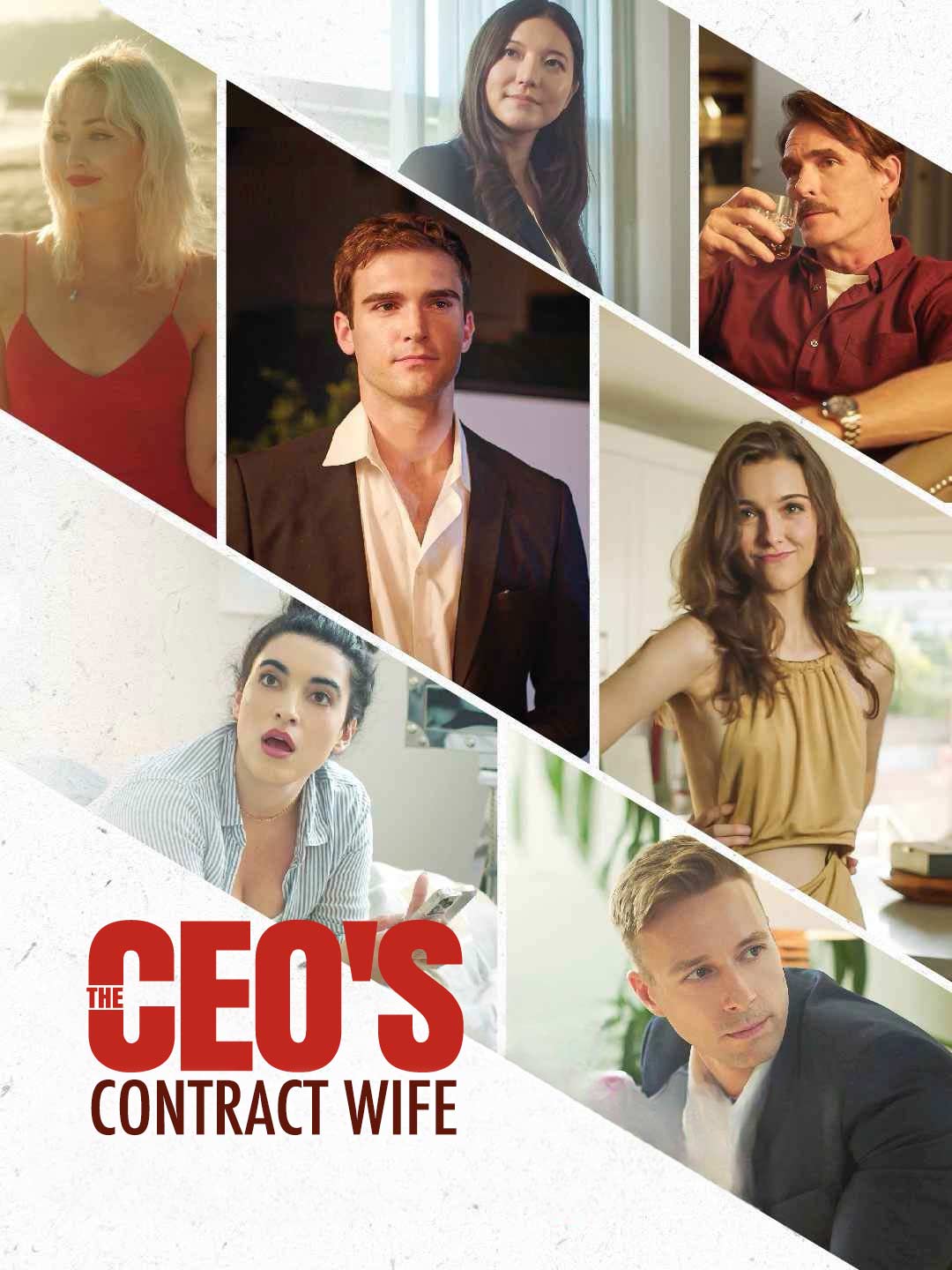 The CEO's Contract Wife Review
