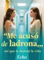 Me acusó de ladrona… así que le destruí la vida cover
