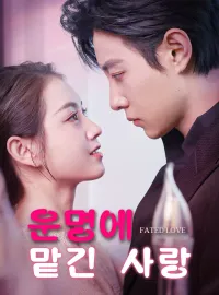운명에 맡긴 사랑