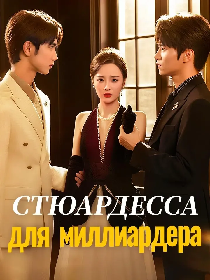 Стюардесса для миллиардера
