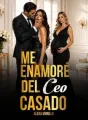 Me Enamoré Del CEO Casado cover