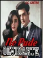 No Pude Olvidarte. cover