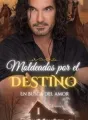 MOLDEADOS POR EL DESTINO EN BUSCA DEL AMOR cover
