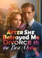 After She Betrayed Me, Divorce is the Best Option cover
