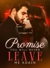 Promise You will Never Leave Me Again