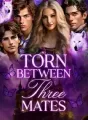 Torn Between Three Mates cover