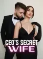 CEO's Secret Wife cover