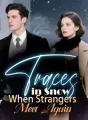 Traces in Snow When Strangers Meet Again cover