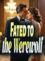 Fated to the Werewolf cover