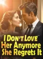 I Don't Love Her Anymore, She Regrets It cover