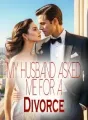 My Husband Asked Me for a Divorce cover