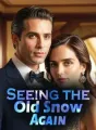 Seeing the Old Snow Again cover