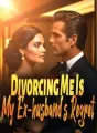 Divorcing Me Is My Ex-husband's Regret cover