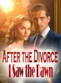 After the Divorce: I Saw the Dawn cover