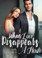 When Love Disappears in A Flash! cover
