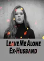 Leave Me Alone, Ex-Husband! cover