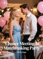 Chance Meeting At The Matchmaking Party cover
