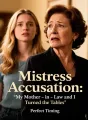 Mistress Accusation: My Mother-in-Law and I Turned the Tables cover