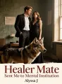 Healer Mate Sent Me to Mental Institution cover