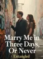 Marry Me in Three Days, Or Never cover