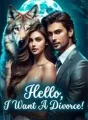 Hello, I Want a Divorce! cover