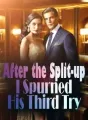 After the Split-up, I Spurned His Third Try cover