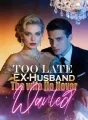 Too Late, EX-Husband: The wife He Never Wanted cover