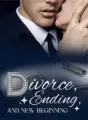 Divorce, Ending, And New Beginning cover