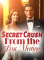 Secret Crush: From the First Meeting cover