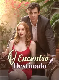 O Encontro Destinado