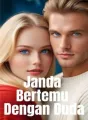 Janda Bertemu Dengan Duda cover