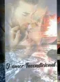 O amor Incondicional cover