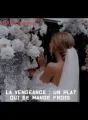 La vengeance : un plat qui se mange froid  cover
