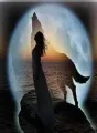  Alpha possessif cover