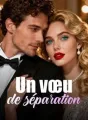 Un vœu de séparation cover