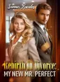 Rebirth In Divorce: My New Mr. Perfect cover