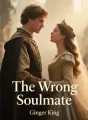 The Wrong Soulmate cover