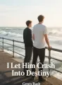 I Let Him Crash Into Destiny cover