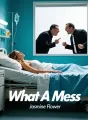 What A Mess cover
