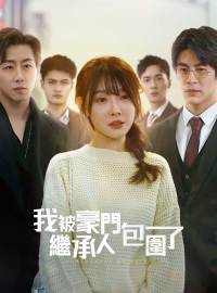 我被豪門繼承人包圍了