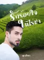 รักร้อยใจในไร่ชา cover