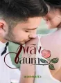 เพลิงเสน่หา cover