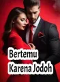 Bertemu Karena Jodoh cover