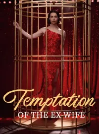 Temptation of the Ex-Wife