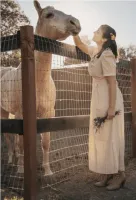 Bar Daniel Wallpaper