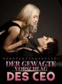 Mondscheinwünsche: Der gewagte Vorschlag des CEO cover