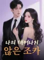 나의 태어나지 않은 조카 cover
